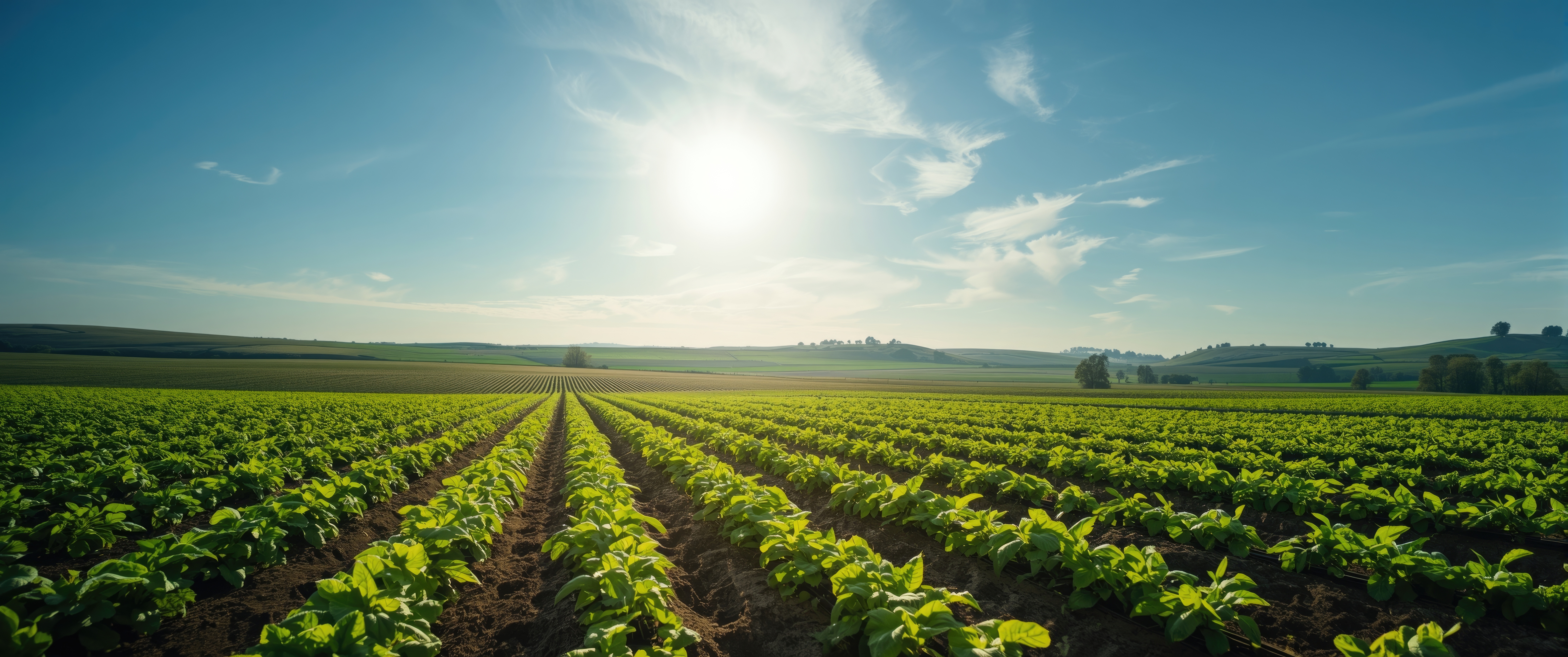 Food and Agriculture Jobs